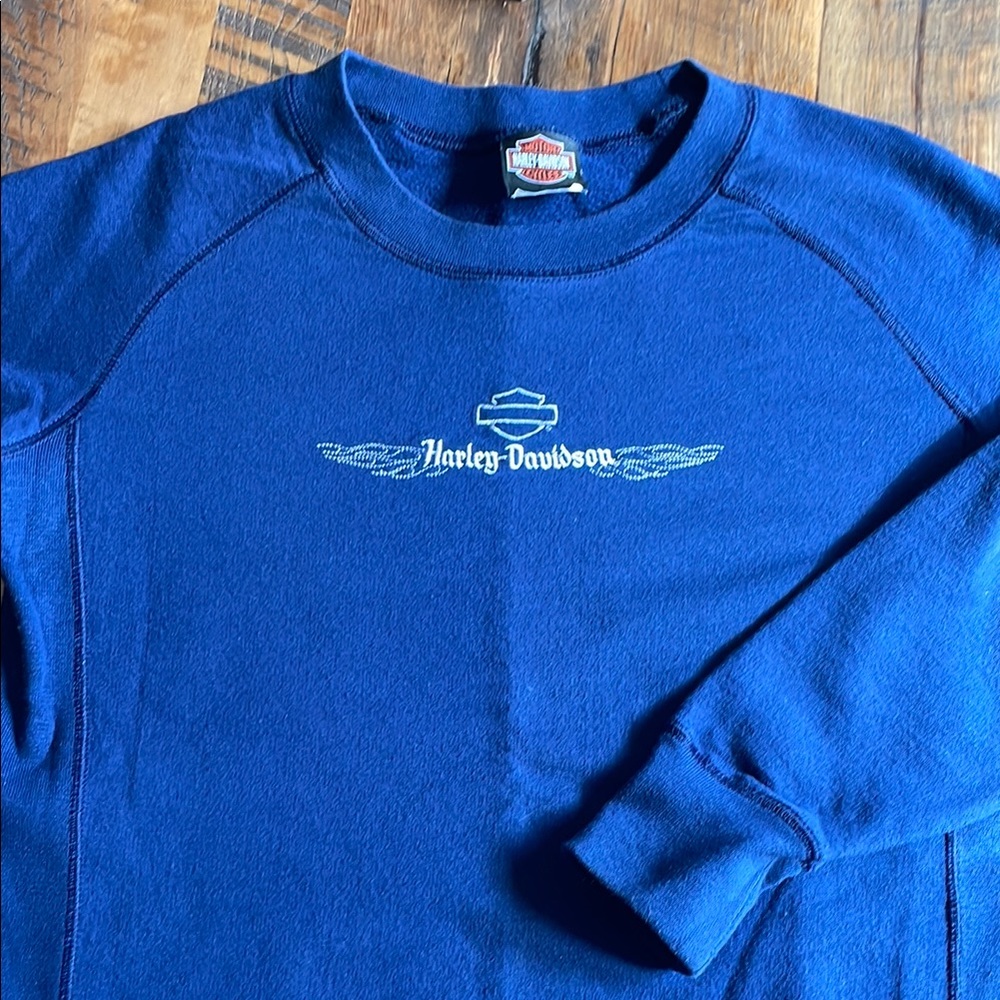 Harley-Davidson Men's Blue sweatshirt